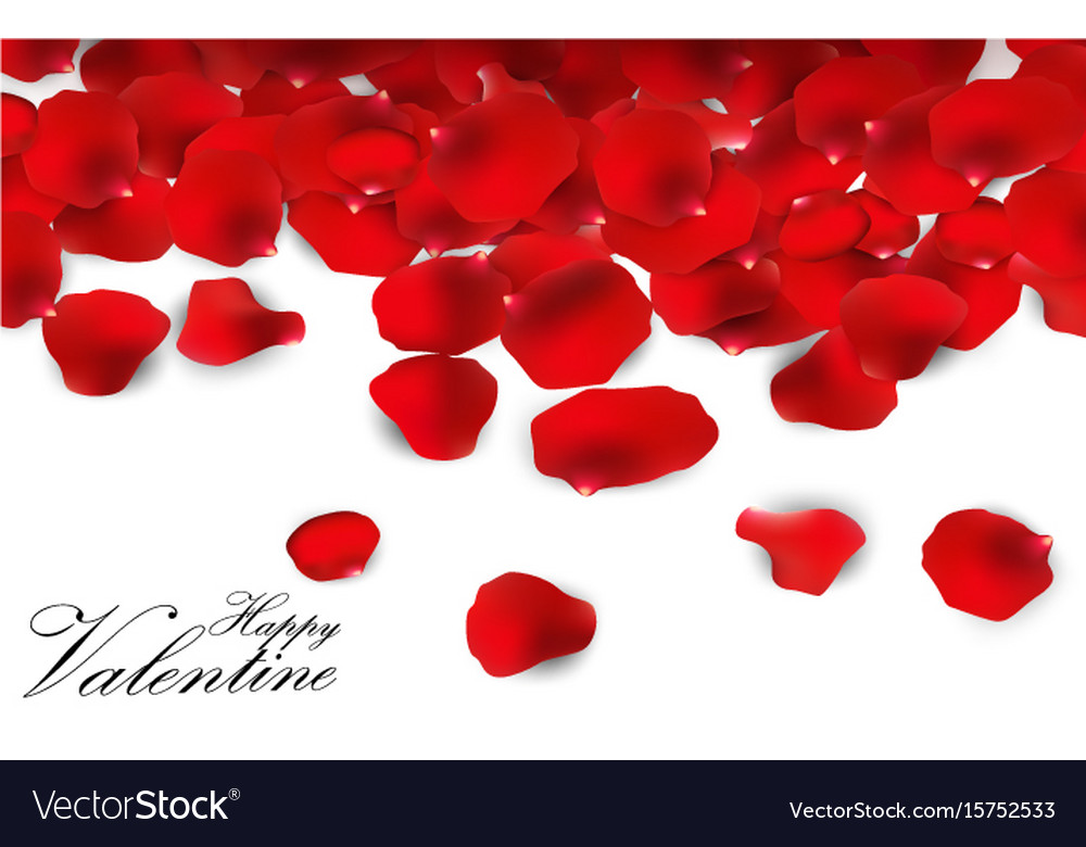 Red Rose Petals On A White Background Royalty Free Vector Red Rose Petals On A White Background Vector Image