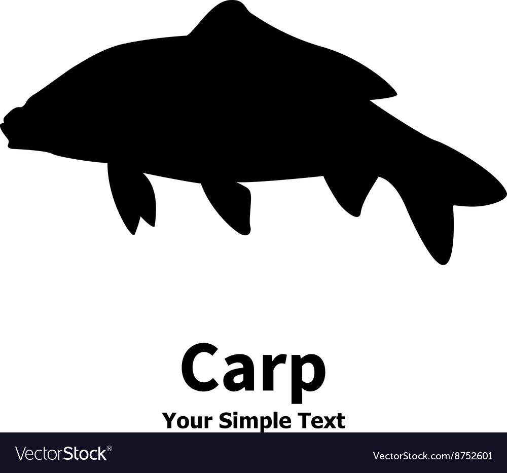 Free Free Carp Fish Svg 547 SVG PNG EPS DXF File