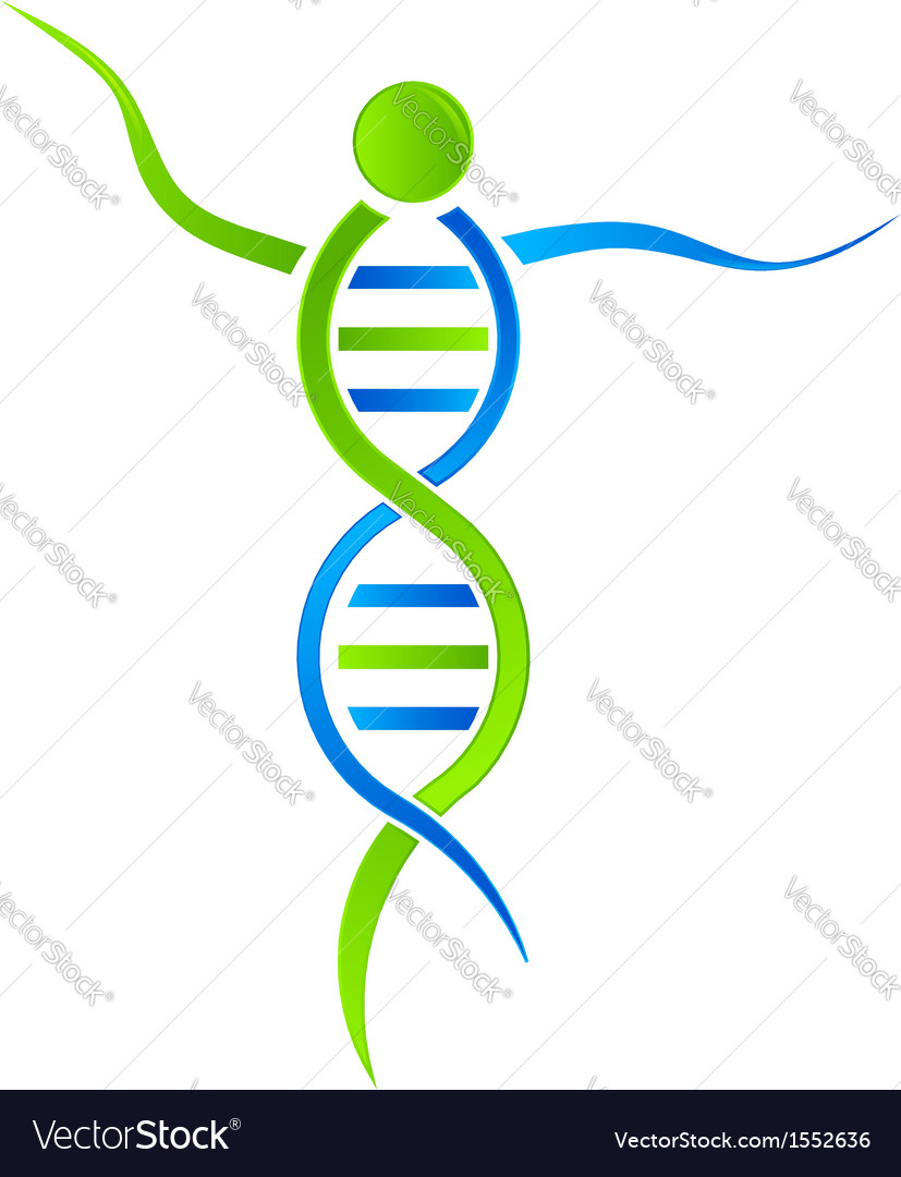 Download DNA person Logo Royalty Free Vector Image - VectorStock