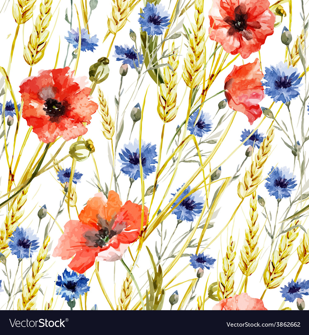 Download Wildflowers Royalty Free Vector Image - VectorStock