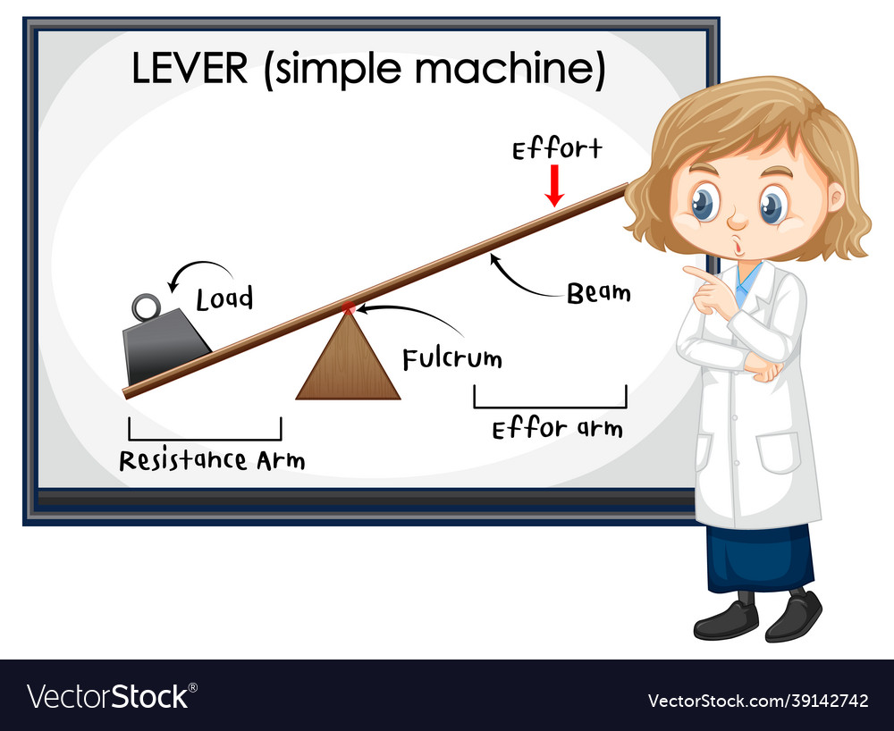 Levers science experiment with scientist kids Vector Image