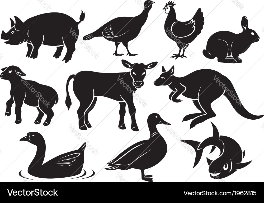 Animals Royalty Free Vector Image VectorStock