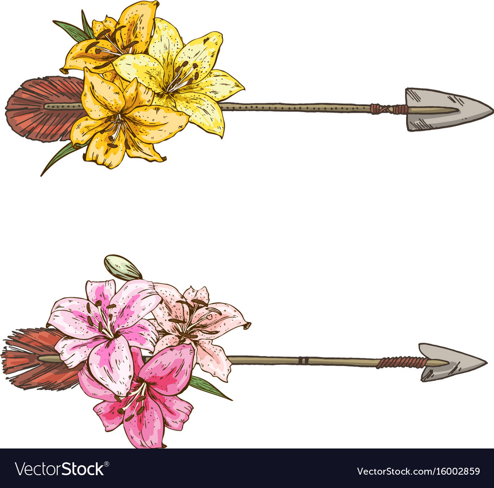 Download Two arrows with colorful flowers lilies isolated Vector Image