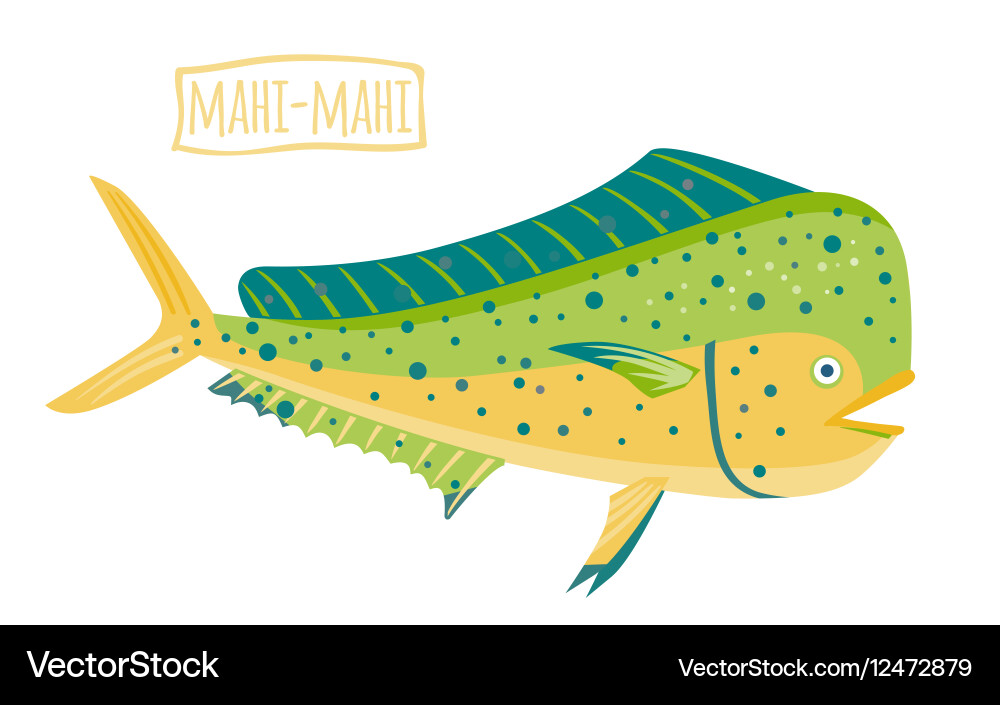 Mahimahi Royalty Free Vector Image VectorStock