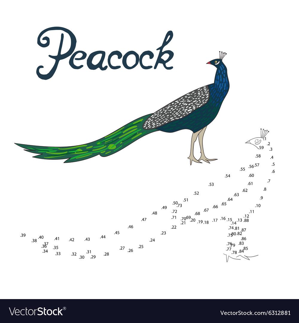 educational game connect dots to draw peacock bird vector image
