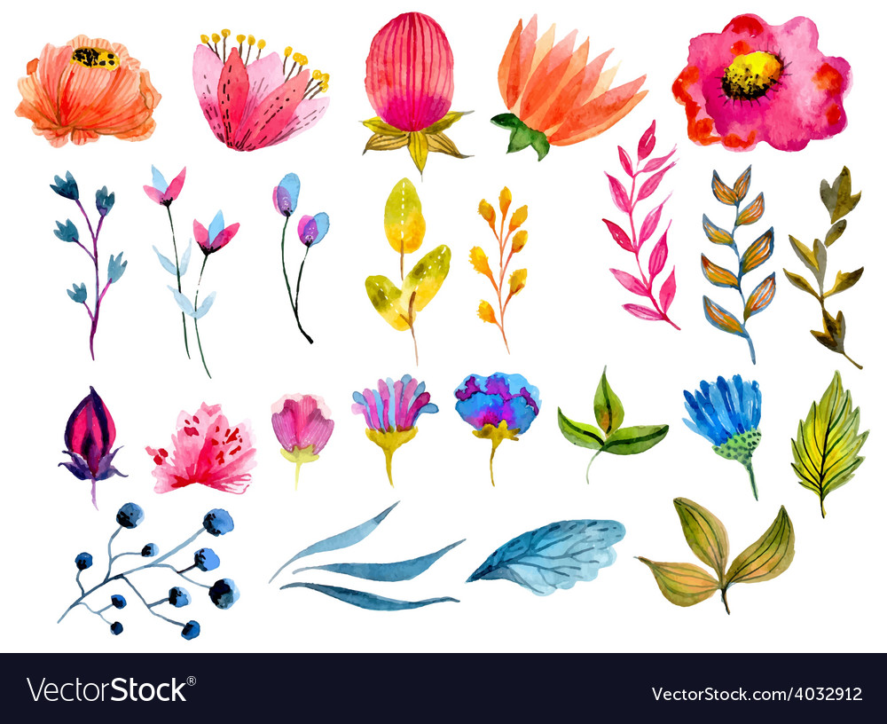 watercolor vectors