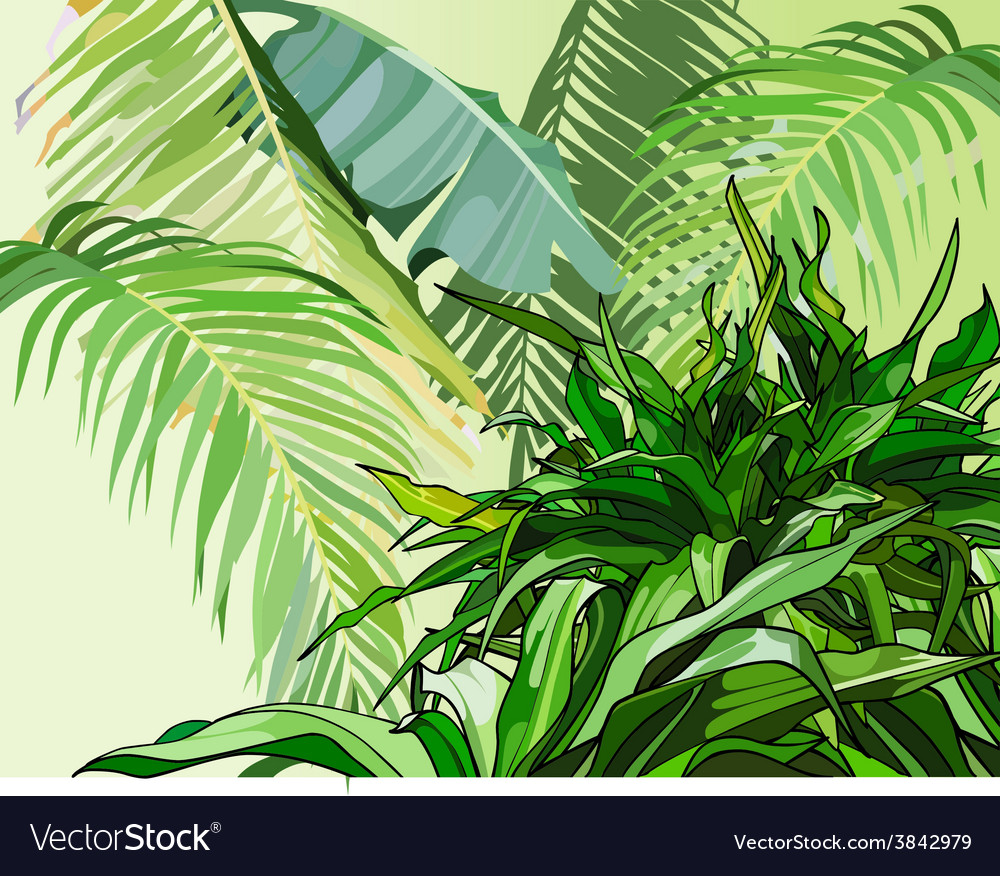 Download Green leaves of tropical plants Royalty Free Vector Image