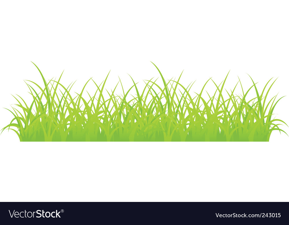 free grass vector