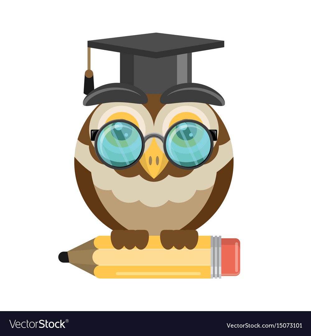 owl university