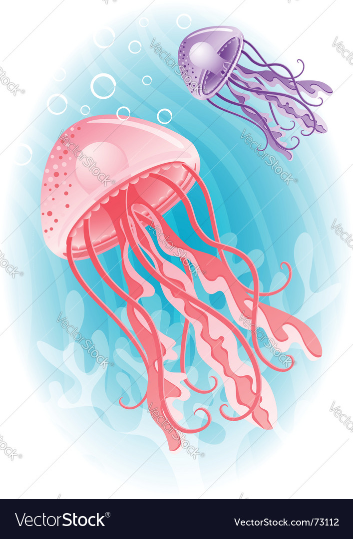 Download Jellyfish Royalty Free Vector Image - VectorStock
