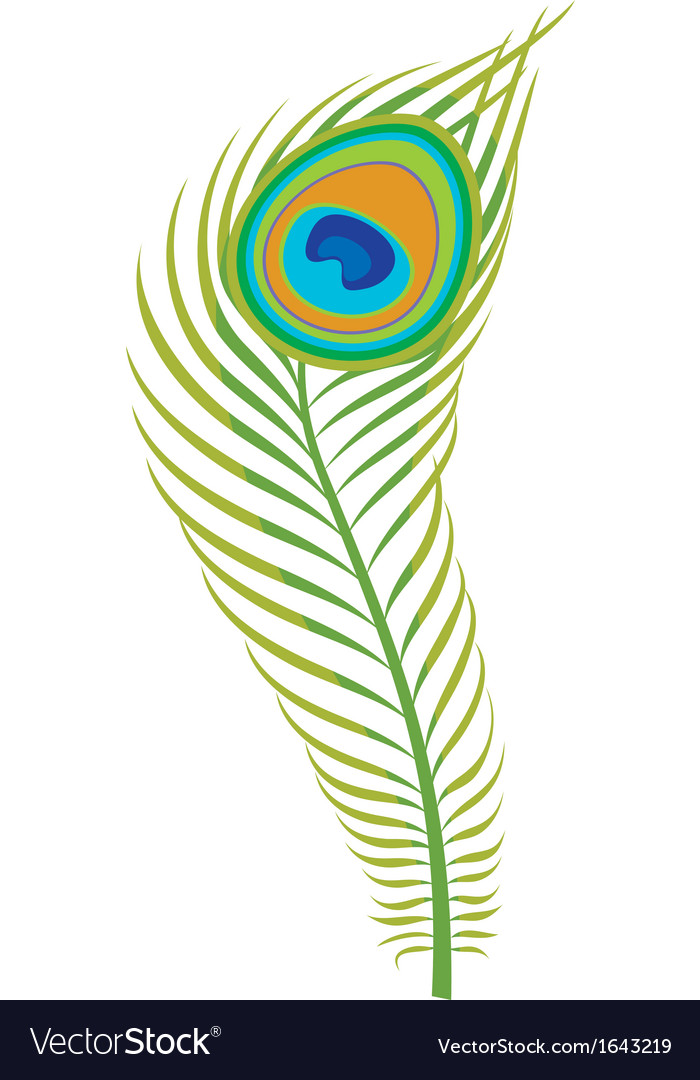 Peacock Feather Logo Design Peacock Feather Logo Design