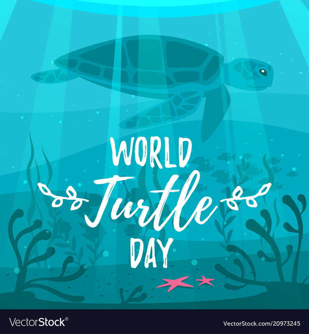 World Turtle Day Greeting Card Royalty Free Vector Image World Turtle Day Greeting Card Royalty Free Vector Image