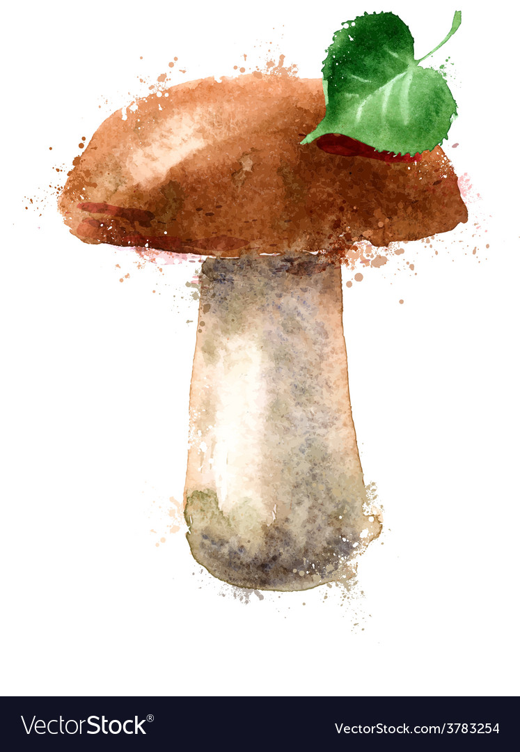 mushroom logo design template nature or royalty free vector