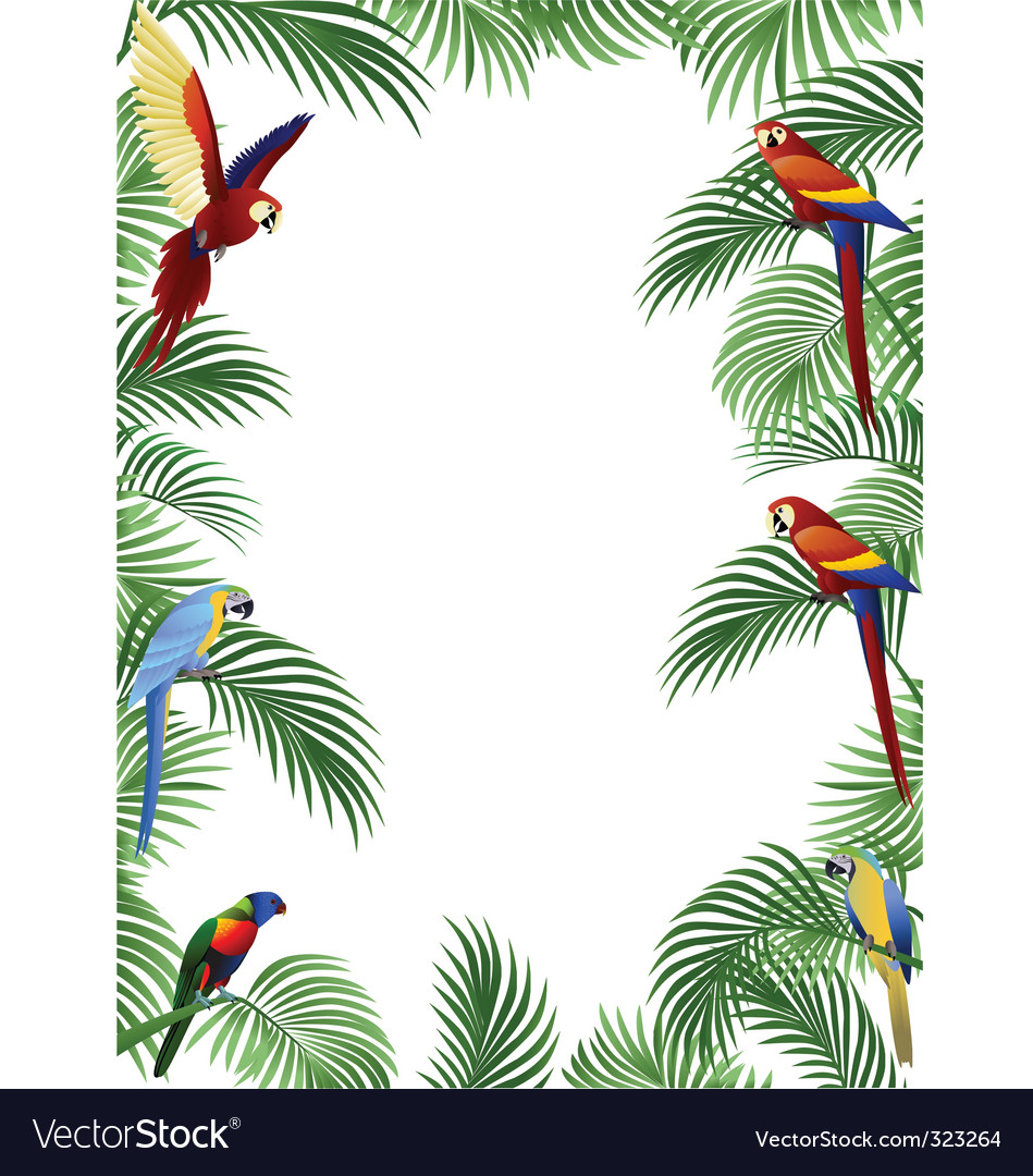 Parrot frame Royalty Free Vector Image VectorStock