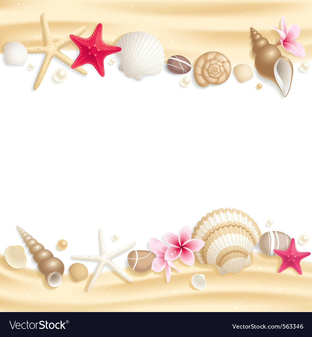 Seashell frame Royalty Free Vector Image VectorStock