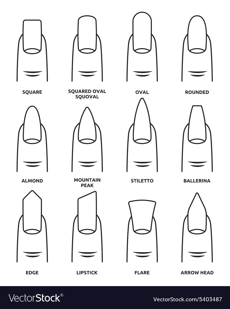 Nail shape set5 Royalty Free Vector Image - VectorStock