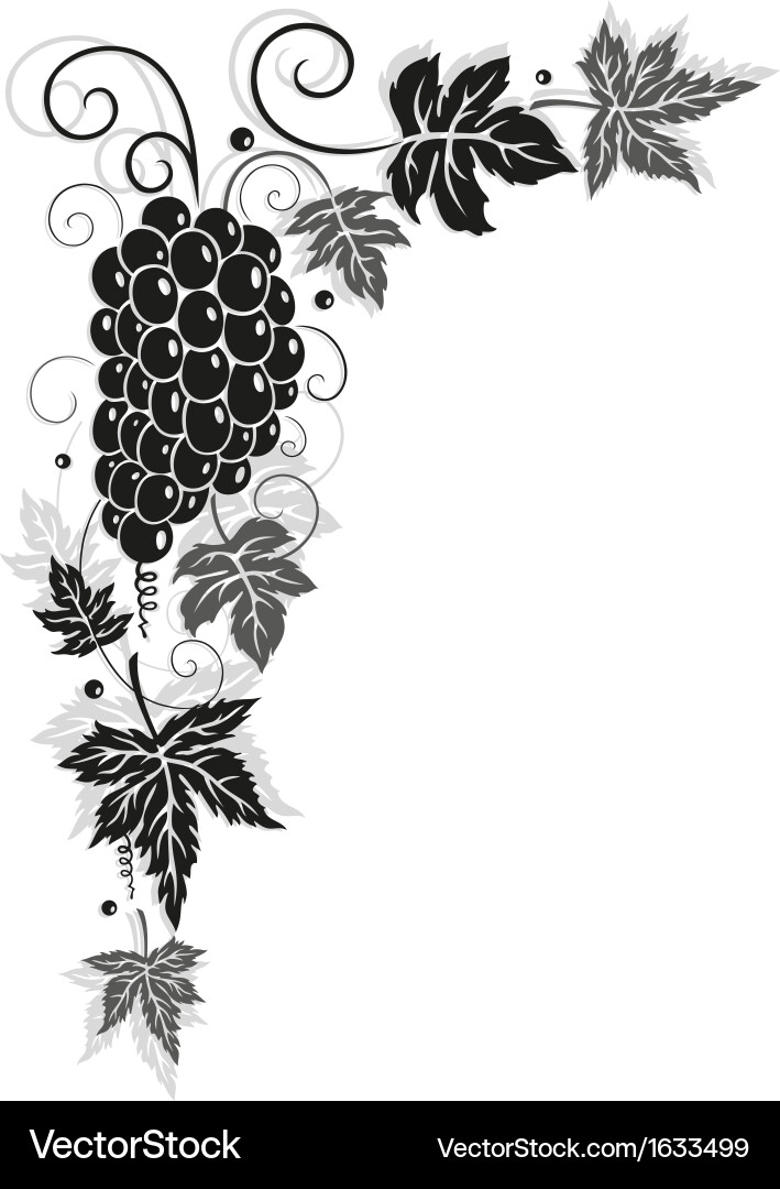 Wine vine border Royalty Free Vector Image VectorStock