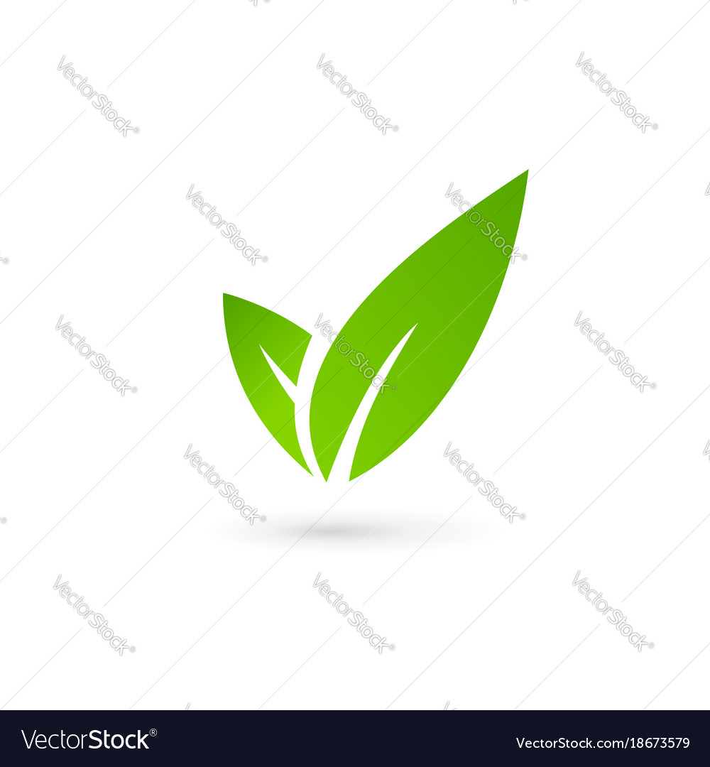 check design template