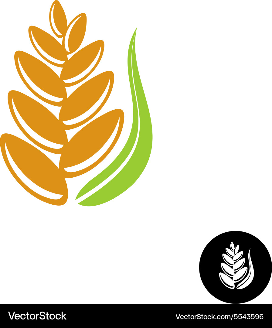 Wheat ear logo Royalty Free Vector Image - VectorStock