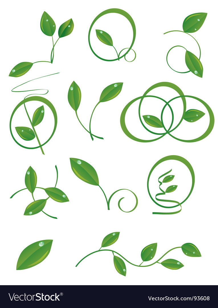A set of green leaves Royalty Free Vector Image