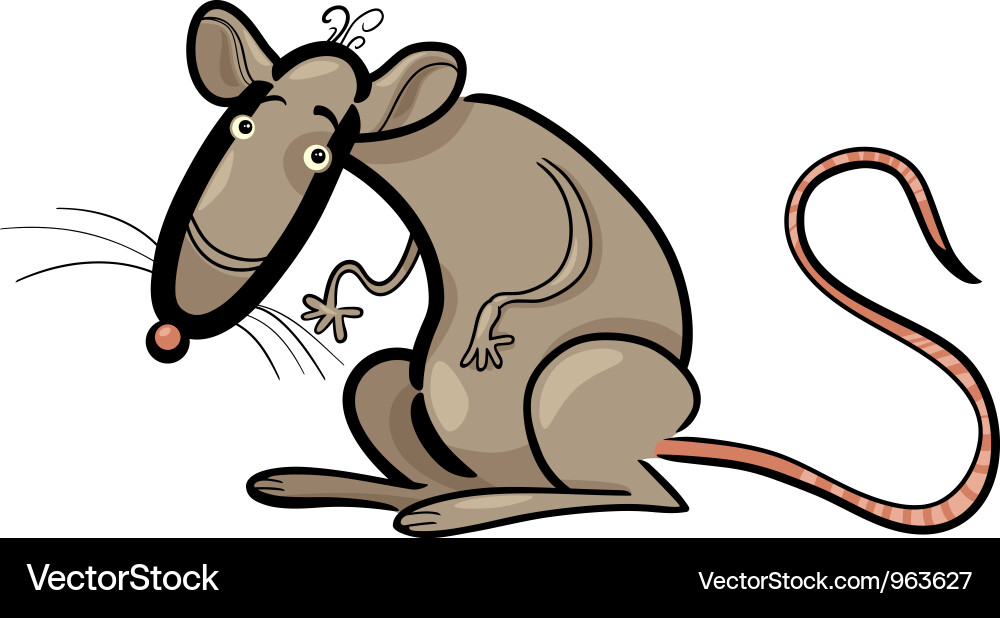 Rat cartoon character Royalty Free Vector Image