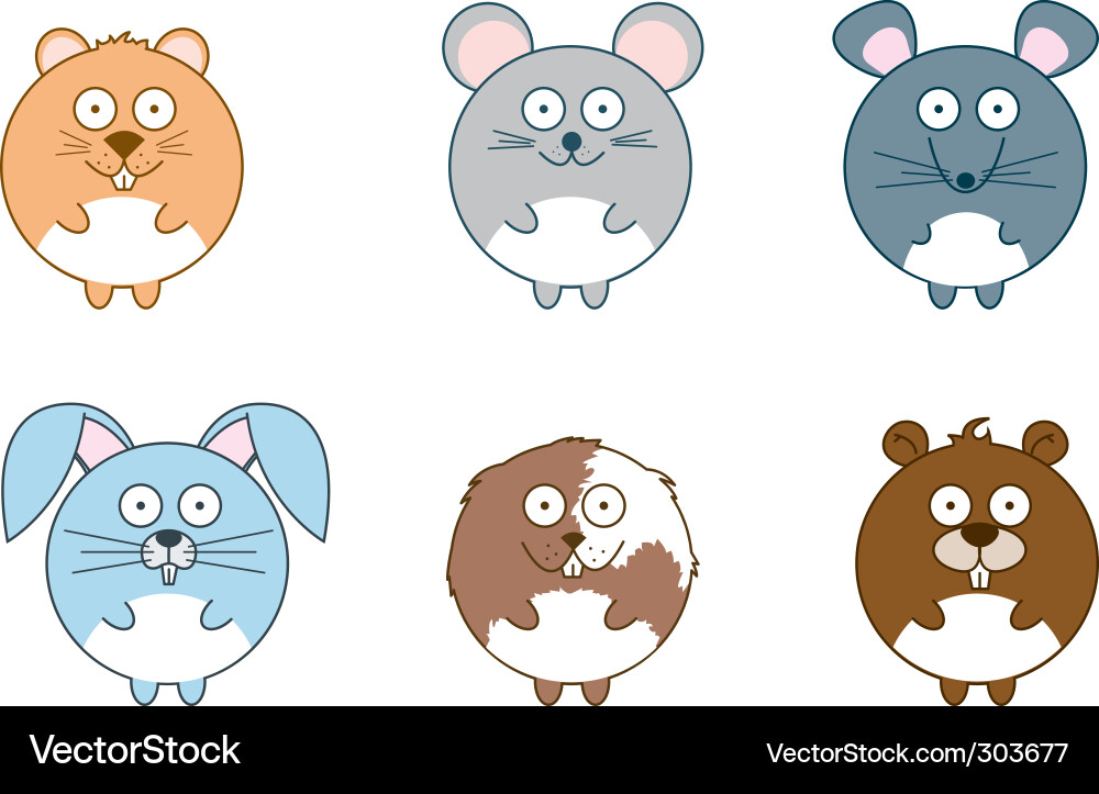 Rodents Royalty Free Vector Image - VectorStock