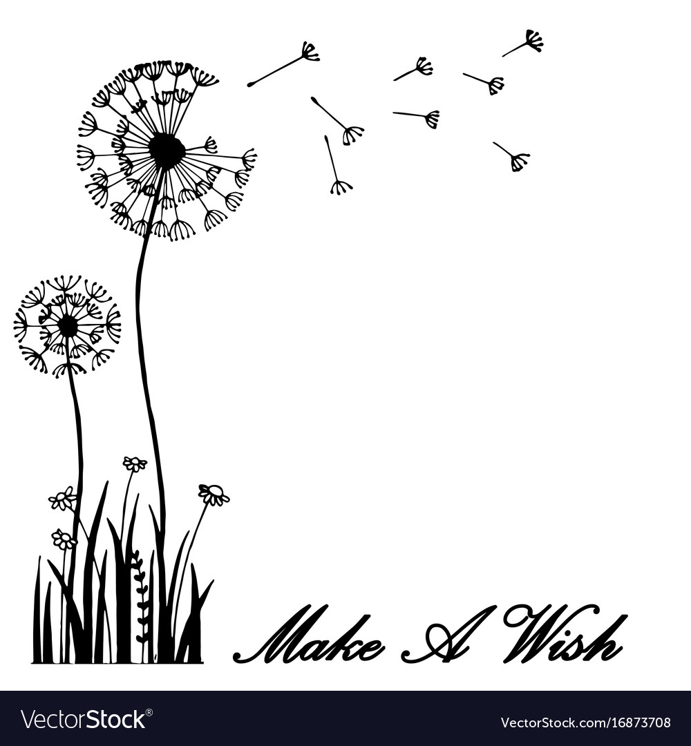 Hand Drawn Greeting Card Dandelion Flower Blow Vector Image