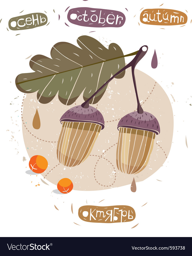 Autumn acorn october Royalty Free Vector Image