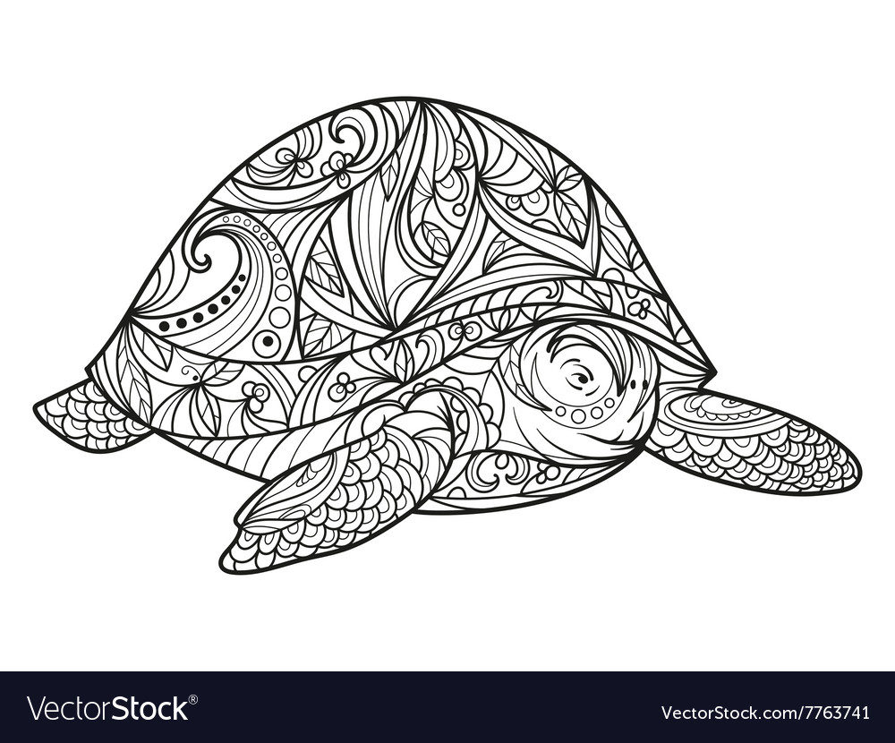 Turtle Coloring Book For Adults Royalty Free Vector Image