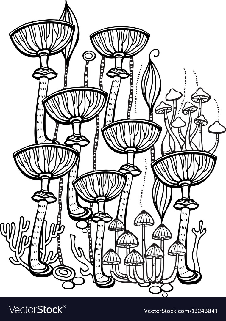 Coloring book page for adult with mushrooms vector image