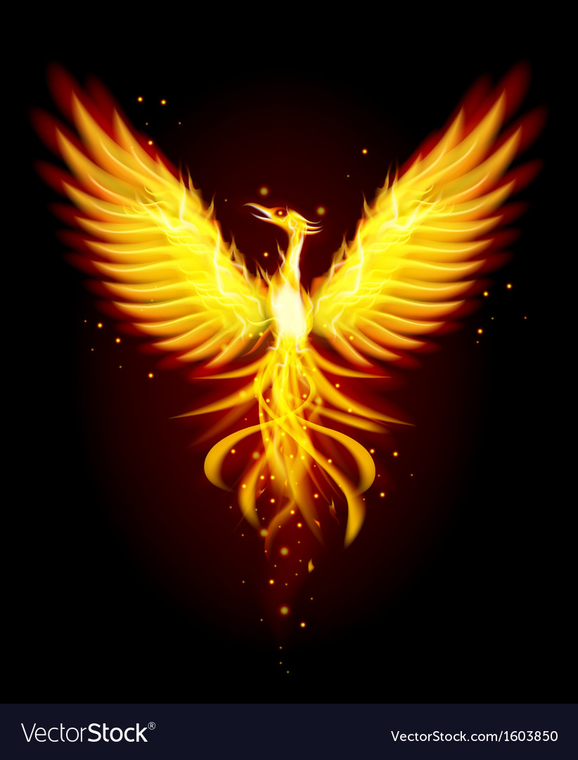 pheonix bird pictures