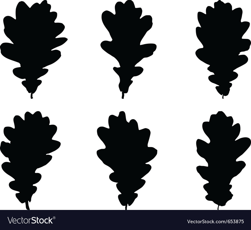 Oak leaves Royalty Free Vector Image - VectorStock