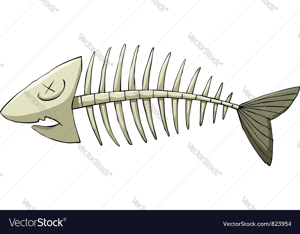Download Fishbone Royalty Free Vector Image - VectorStock