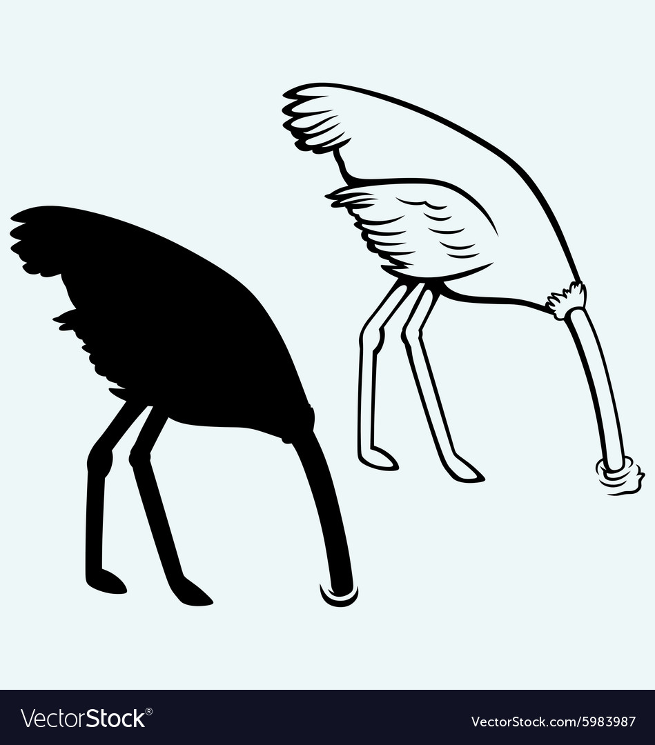 ostrich burying its head in sand vector image
