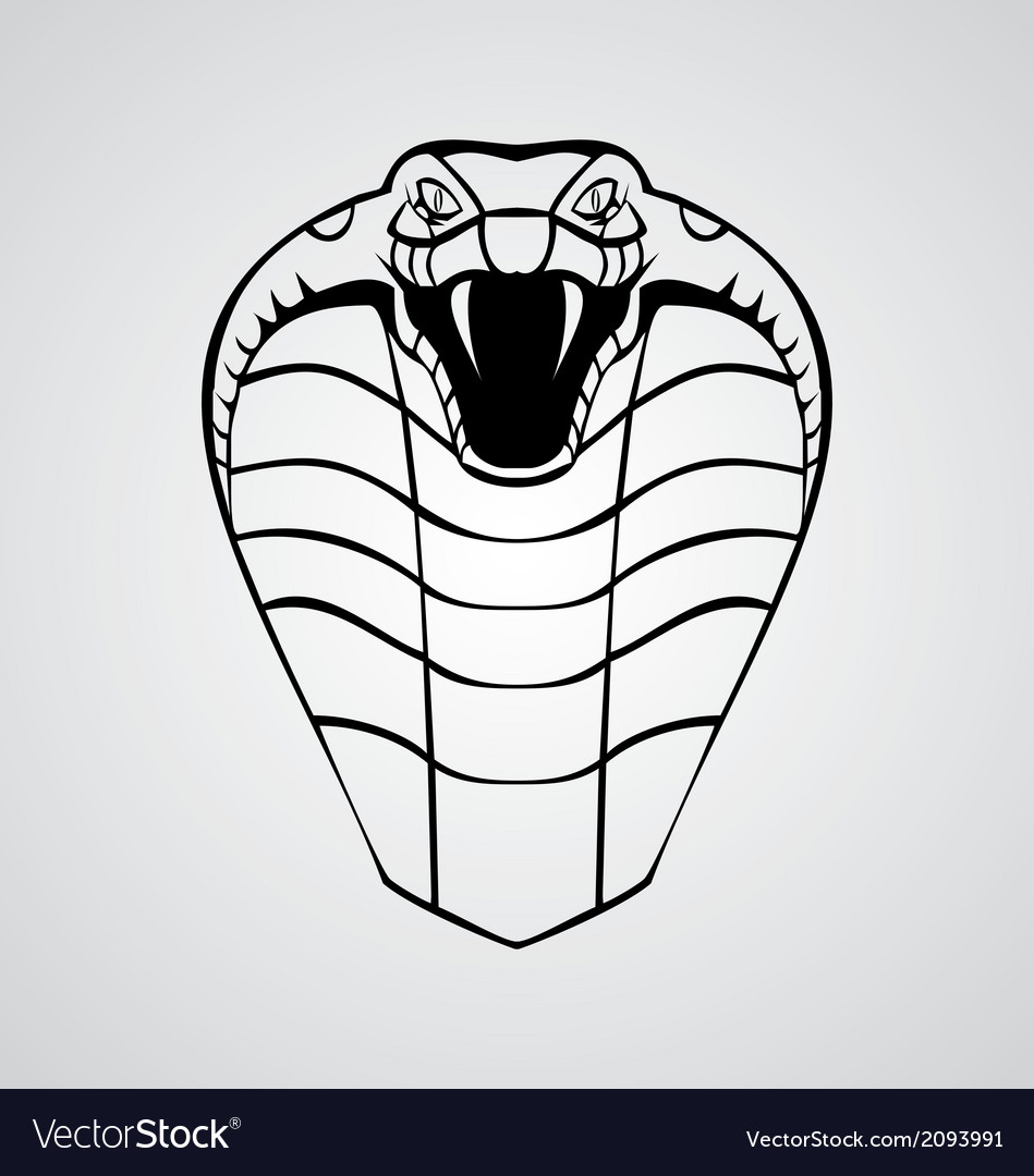 Download King Cobra Head Royalty Free Vector Image - VectorStock
