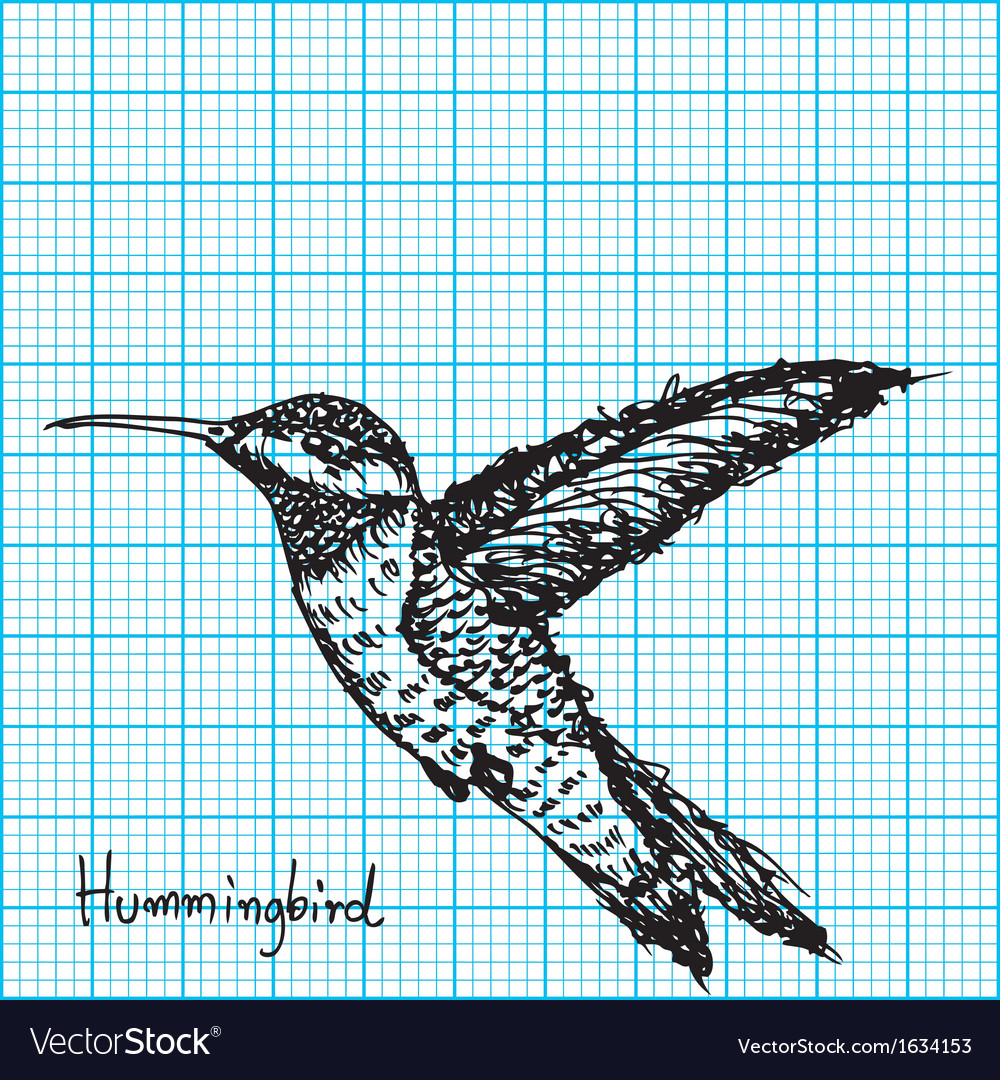 hummingbird sketch on graph paper royalty free vector image how to draw flappy bird on graph paper