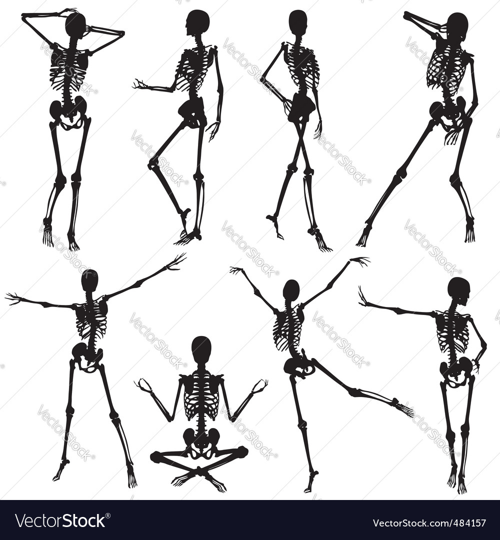 Skeleton silhouettes Royalty Free Vector Image