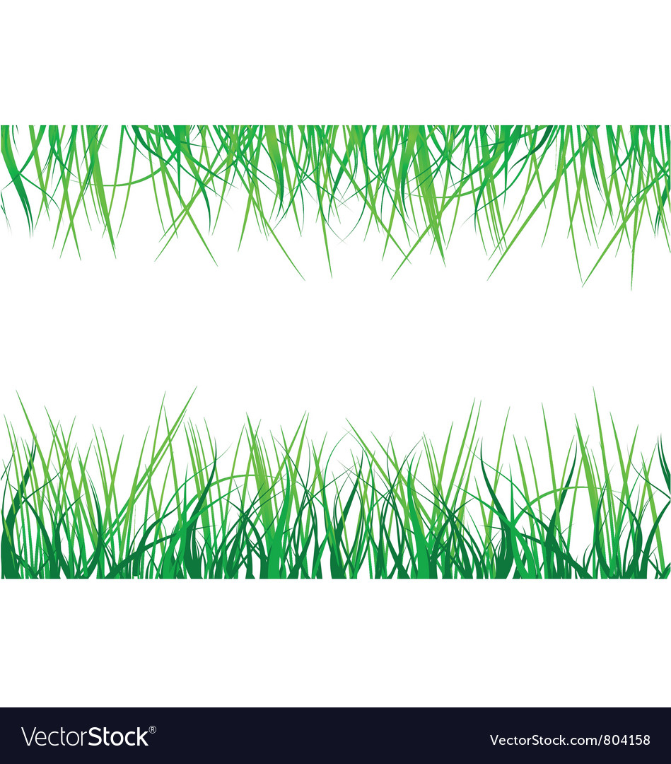 free grass vector