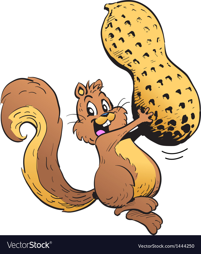 Happy Squirrel With Peanut Royalty Free Vector Image