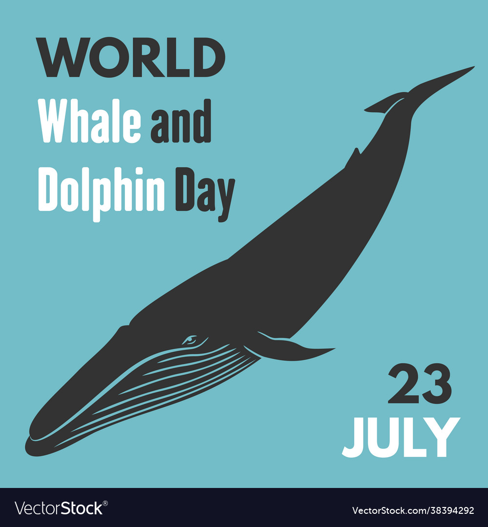World whale and dolphin day poster Royalty Free Vector Image