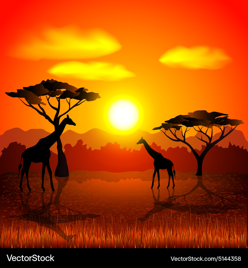 日落在非洲大草原背景版税免费矢量 雷竞技raybet 日落在非洲大草原背景版税免费矢量 雷竞技raybet