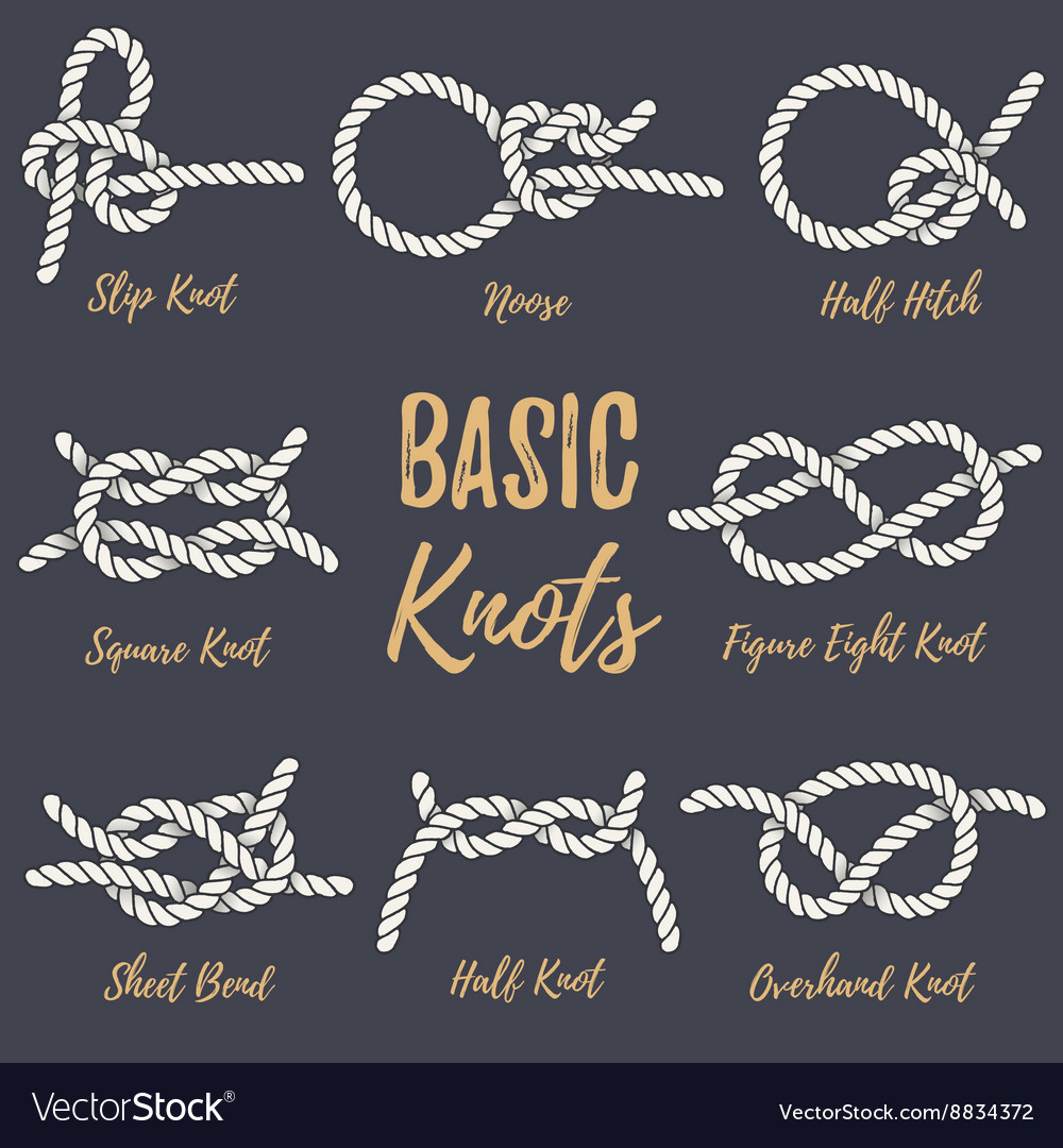 Set of nautical rope knots Royalty Free Vector Image