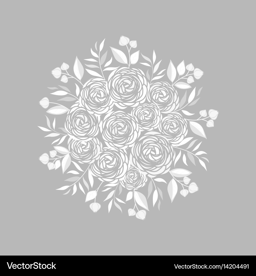 Vector Ranunculus Ranunculus flower Royalty Free Vector Image - VectorStock