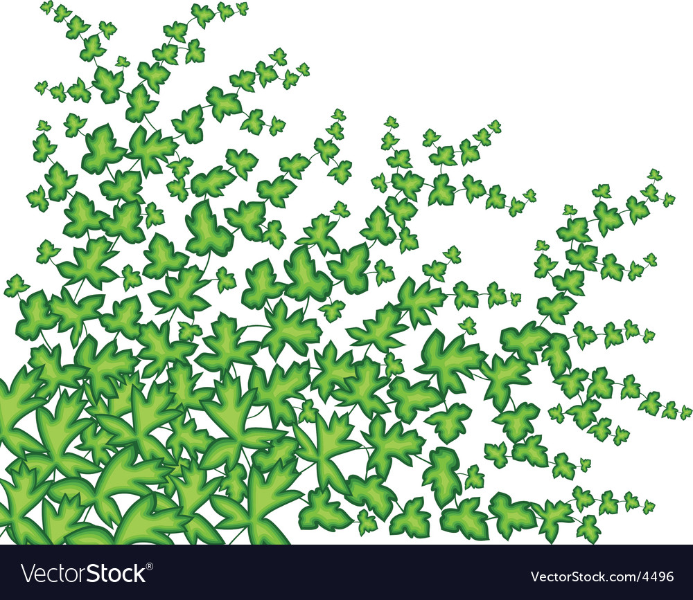 Creeper Royalty Free Vector Image VectorStock
