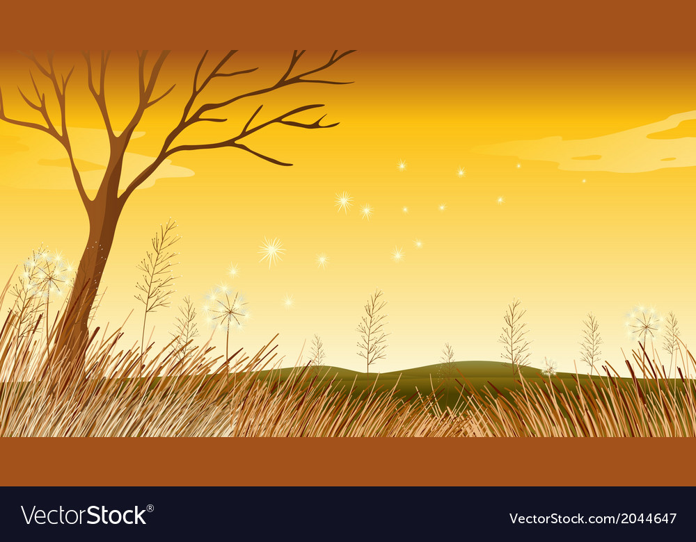 dying tree