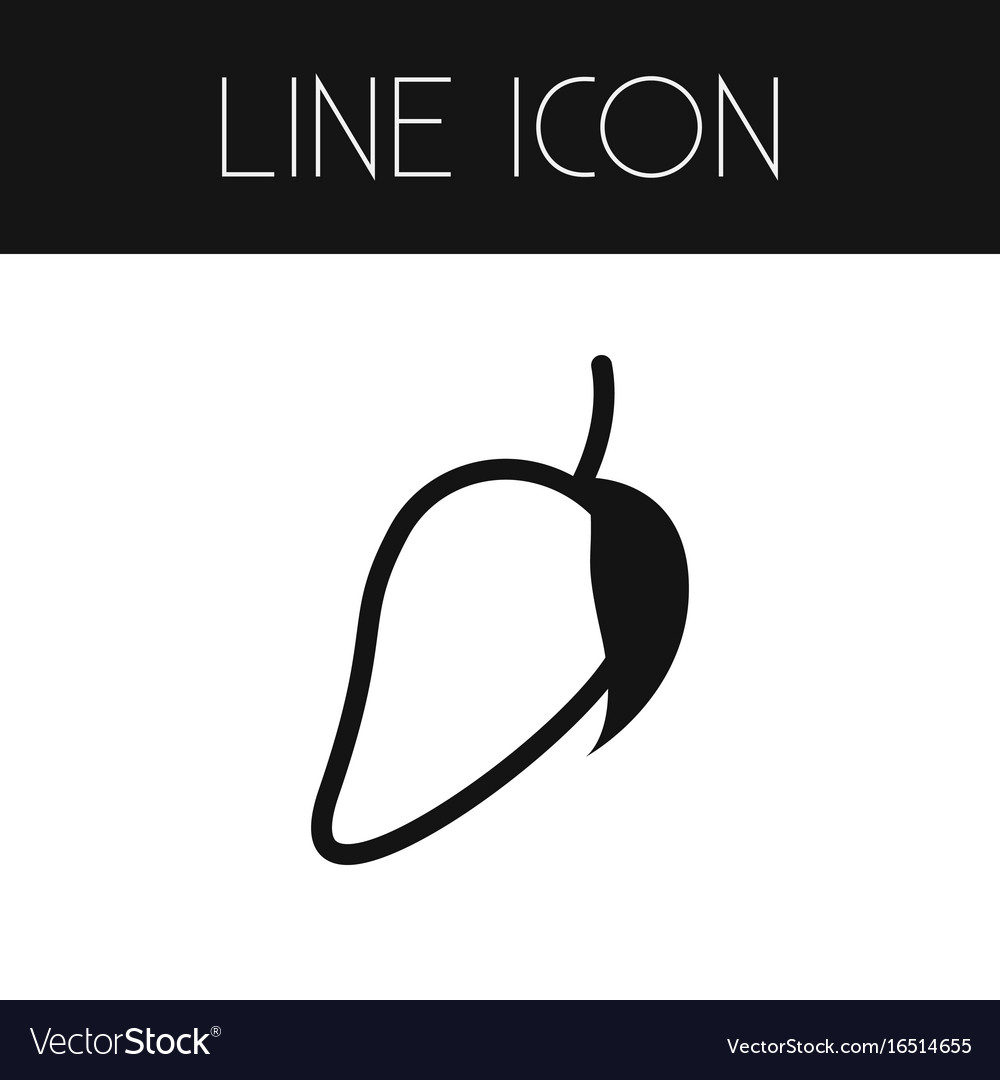 isolated fleshy outline mango element can vector image