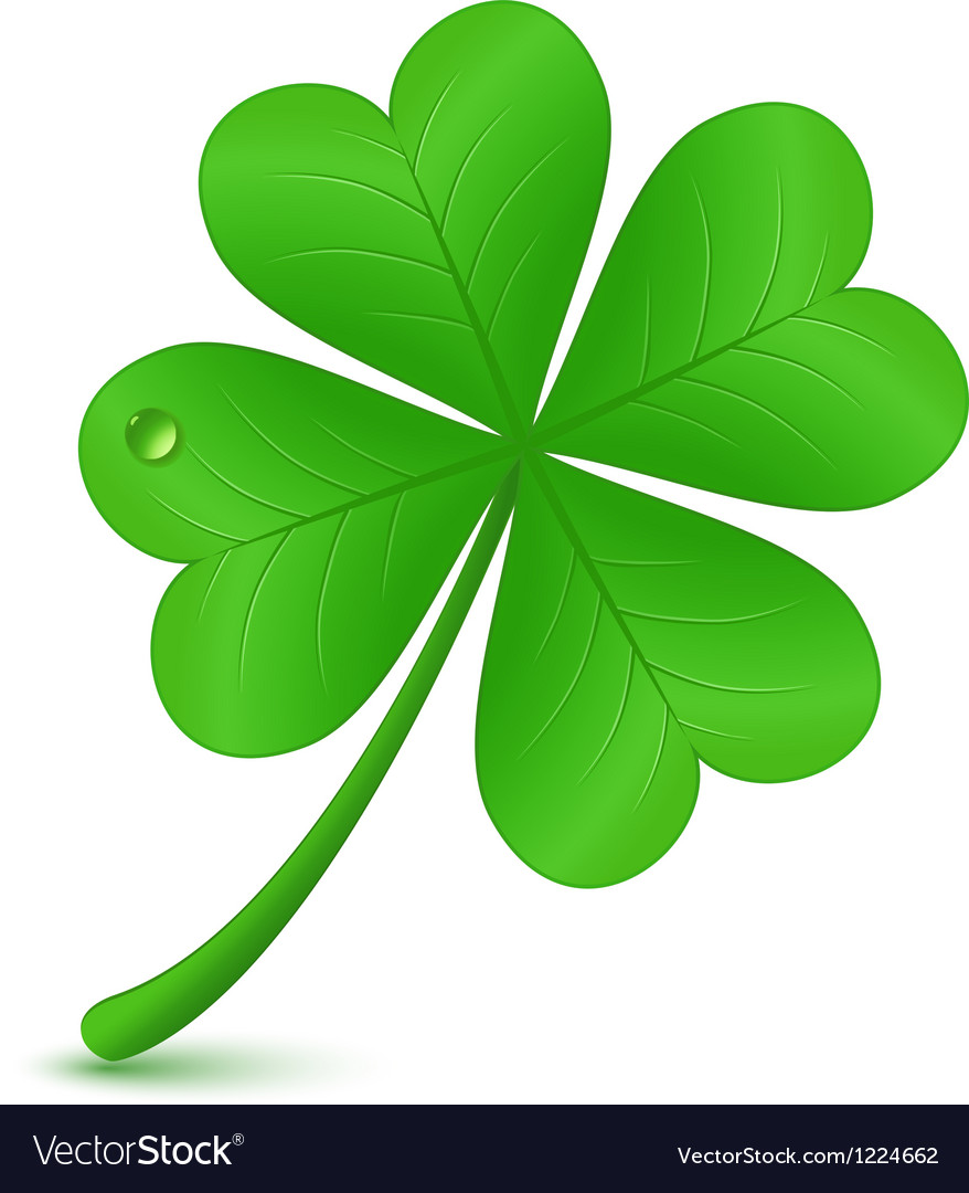 four leaf clover st patricks day symbol vector