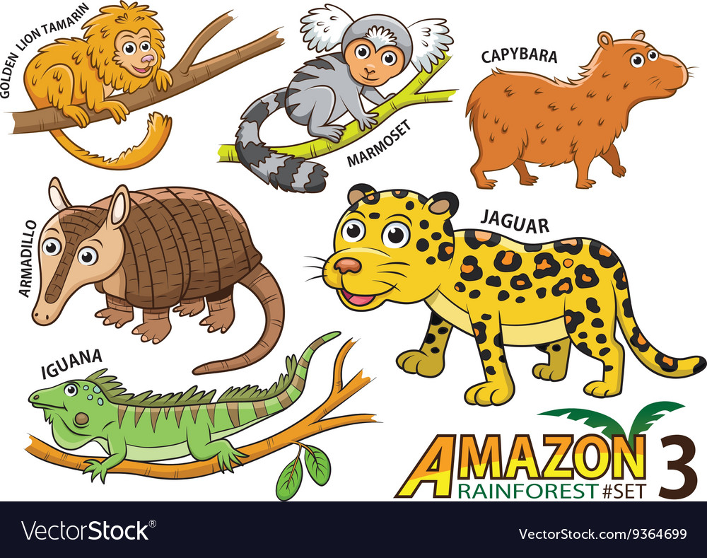 Set Of Cute Cartoon Animals In The Amazon Vector Image Set Of Cute Cartoon Animals In The Amazon Vector Image