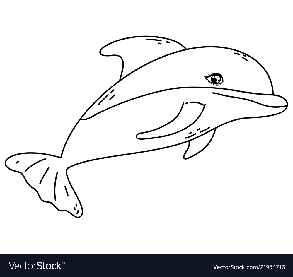 Outline Dolphin Tropical Wild Sea Animal Vector Image