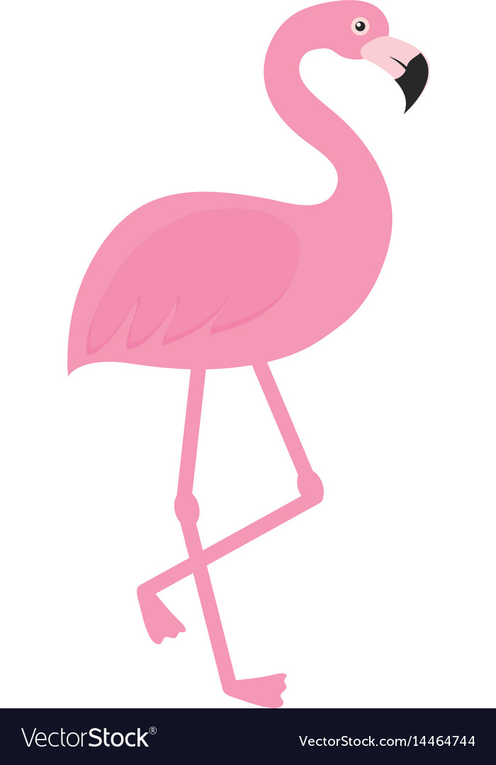 Pink flamingo icon Royalty Free Vector Image - VectorStock